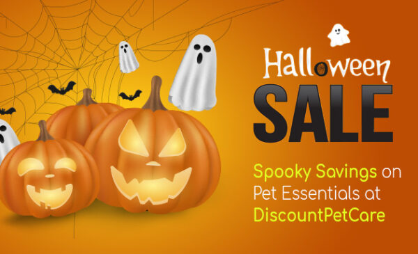 Halloween Sale: Spooky Savings on Pet Essentials at DiscountPetCare