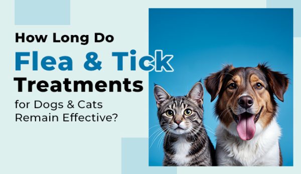 How Long Do Flea & Tick Treatments for Dogs & Cats Remain Effective?